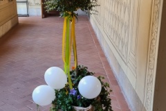 20230710_103450_resized